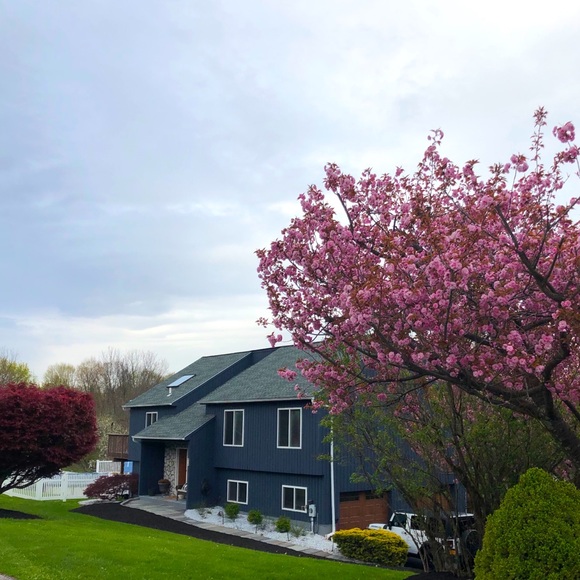 Meet your Posher, Matthew - Picture 1 of 1